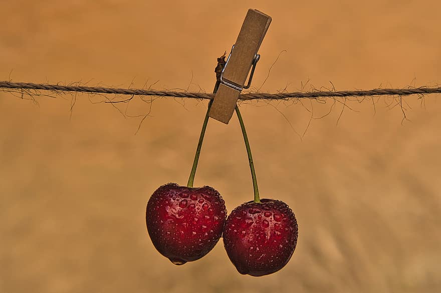 Cherry, Wet, Washed, Drop Of Water, Fruit, Nature, Water, Red, Food, Fruits, Ripe