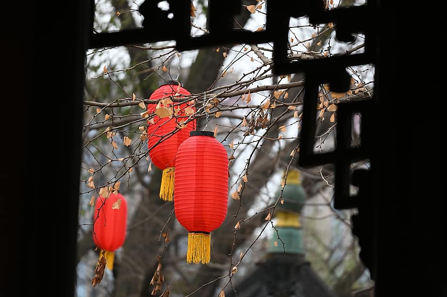 lanternas, ano Novo Chinês, jardim, festival, Festival da Primavera, culturas, lanterna, decoração, celebração, cultura chinesa, festival tradicional