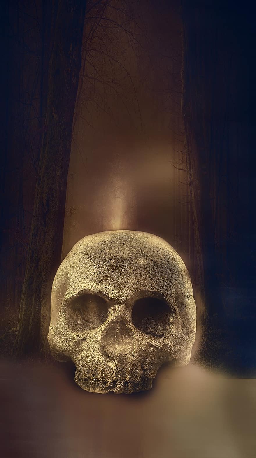 czaszka, szkielet, przerażenie, halloween, za, straszny