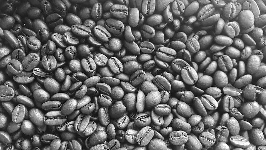 kaffe, bönor, frön, koffein, Kafé, arom, rostad, mat, dryck, brun, aromatisk