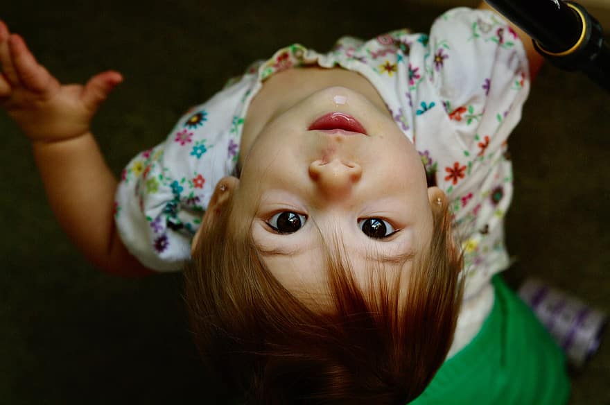 Baby, Daughter, Upside Down, Face, Toddler, Baby Girl, Girl, Cute, Eyes, Portrait, Child