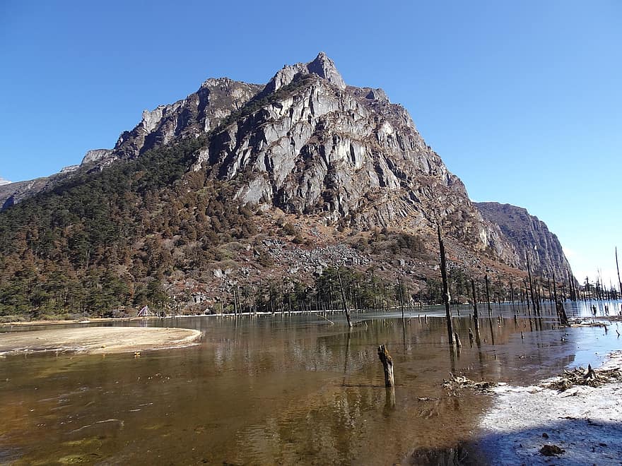 lago, montaña, naturaleza, árboles muertos, Sangestar Tso, Lago Madhuri, pico, cumbre, paisaje, Himalaya, tawang
