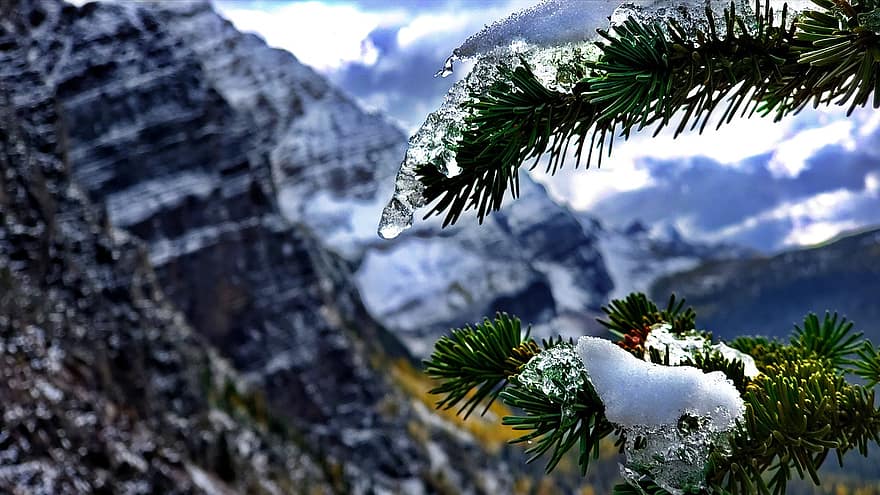banff, téli, fagy, hegyek, Alberta, Kanada, természet, fák, hó
