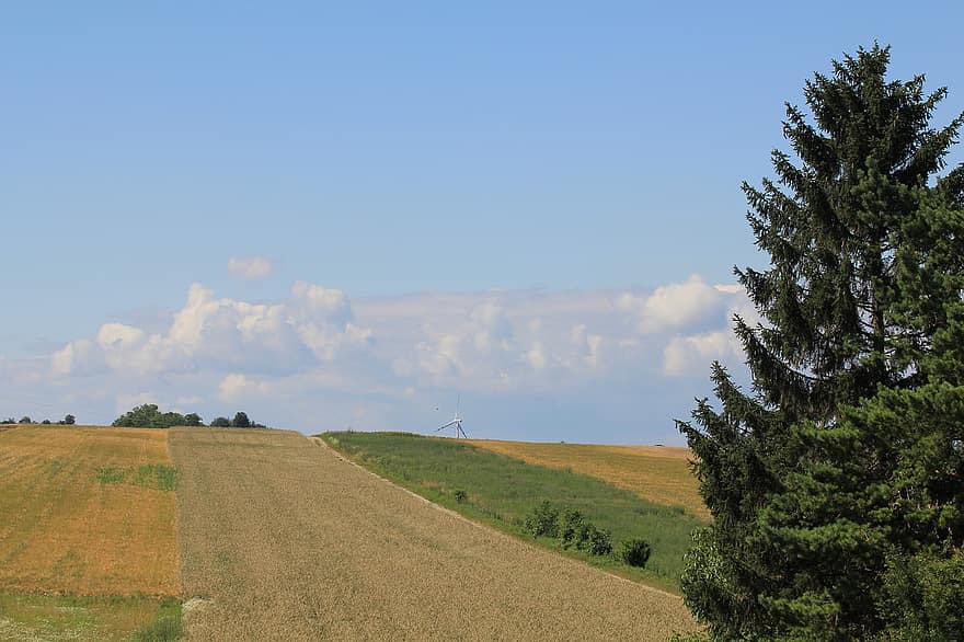 árbol, campos, cereales, paisaje, Austria, Weinviertel, nubes, cielo