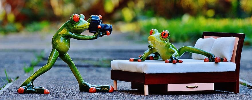 nhiếp ảnh gia, con ếch, chụp ảnh, buồn cười, Máy ảnh, vui vẻ, thú vật, ảnh chụp, thế giới động vật, dễ thương, ếch nhái