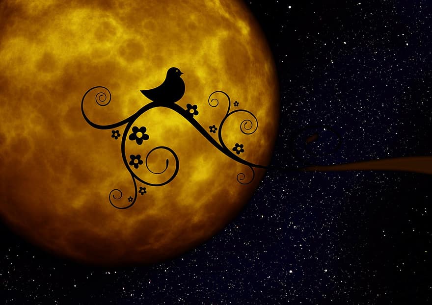 Luna, planeta, ligero, pájaro, Kringel