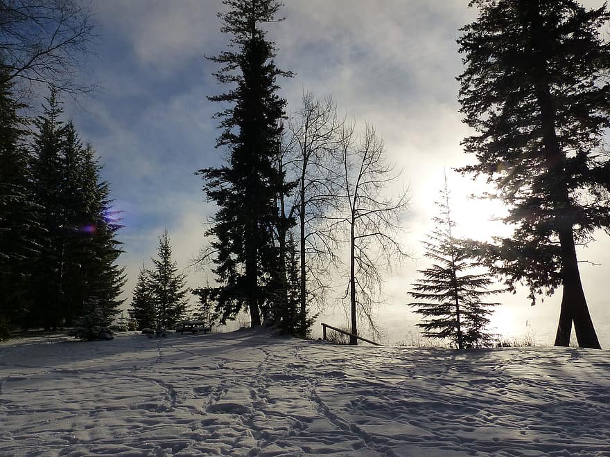 Landschaft, See, nebelig, Winter, kalt, Schnee, Jahreszeit, Wetter, Kanada