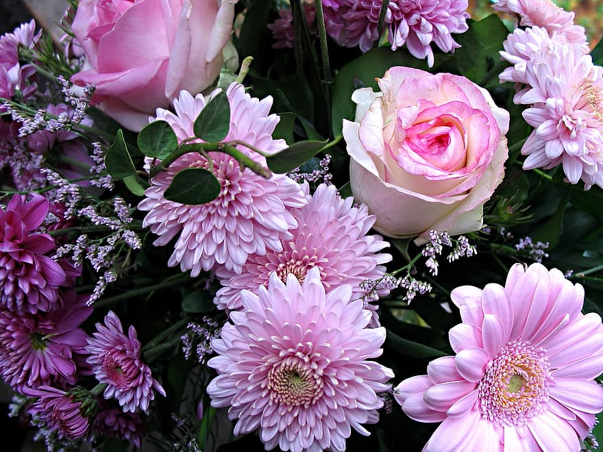bunga-bunga merah muda, mawar, buket, aster, menanam, bunga, warna merah jambu, merapatkan, daun bunga, kepala bunga, kesegaran