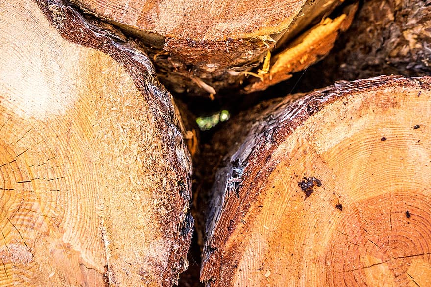 木、俵、木の結び目、樹脂、木を切る、木材、森林、薪、ログ、木の幹、木材産業