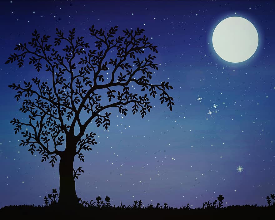 naktī, mēness, koks, ainavu, augu, raksturs, veģetācija, siluets, lapas, ziedi, pilnmēness