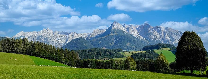 salzburg, st johann, bischofshofen, raksturs, ārā, kalns, pļava, zāli, vasarā, ainavu, zaļā krāsa