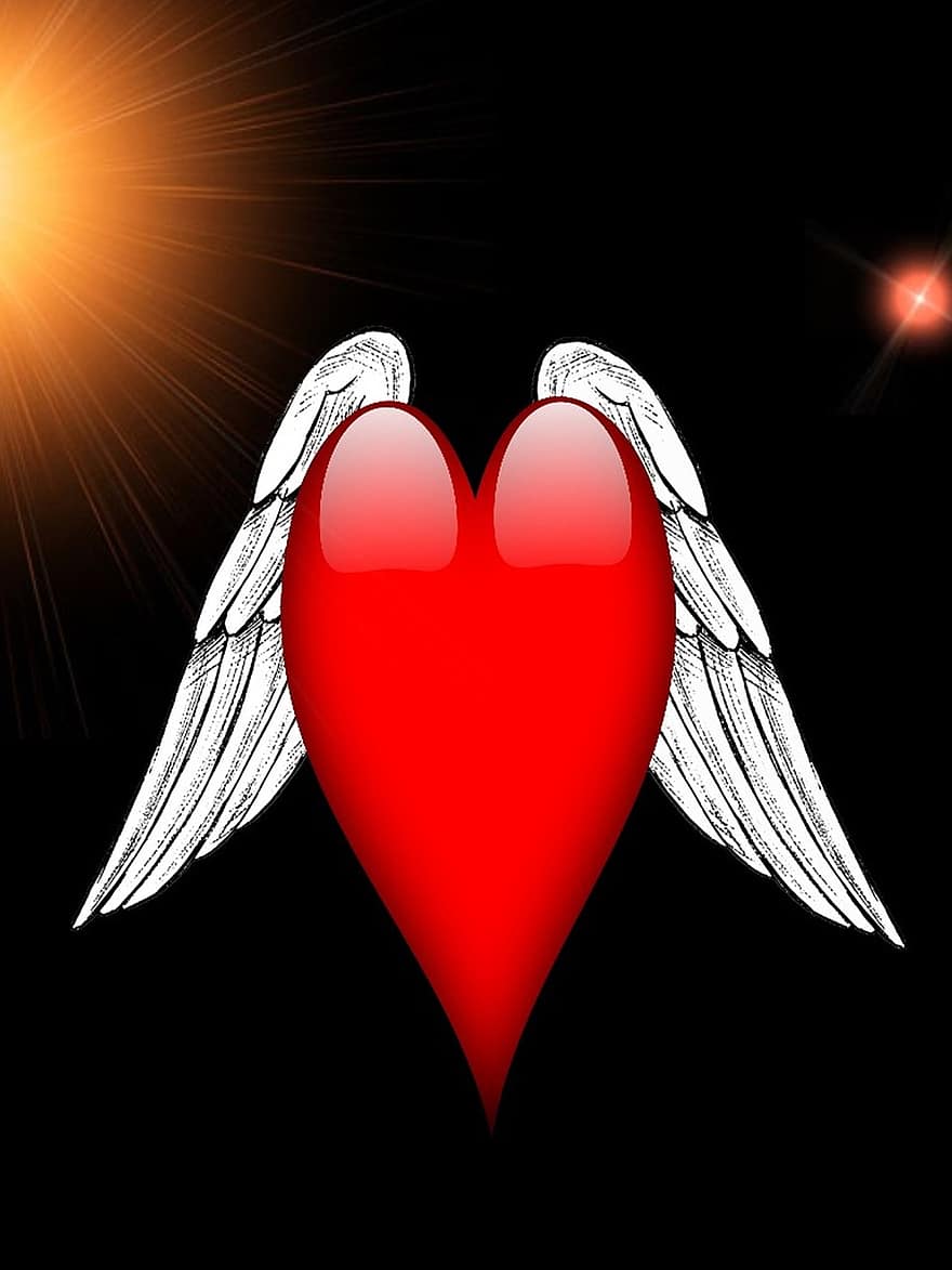 le jour de la Saint Valentin, cœur, Saint-Valentin, ailes, amoureux, amour, joie, affection, émotions, sentiments, bonheur