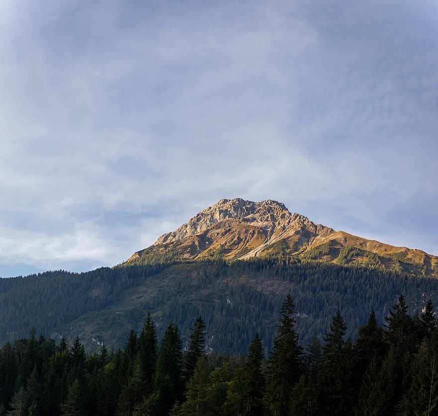 гора, деревья, Альпы, Австрия, природа, панорама, пейзаж
