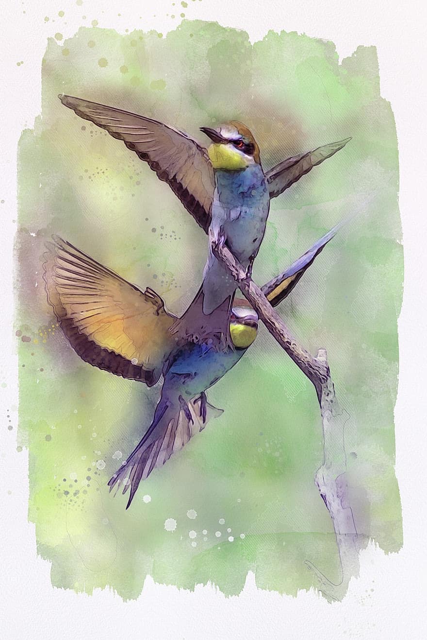 Humming Birds, Flying, Nature, Animal, Painting, Digital Manipulation