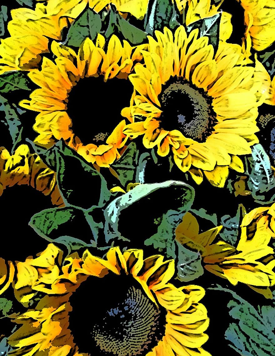 saulespuķes, ķekars, dzeltens, grafisks, mākslas darbi