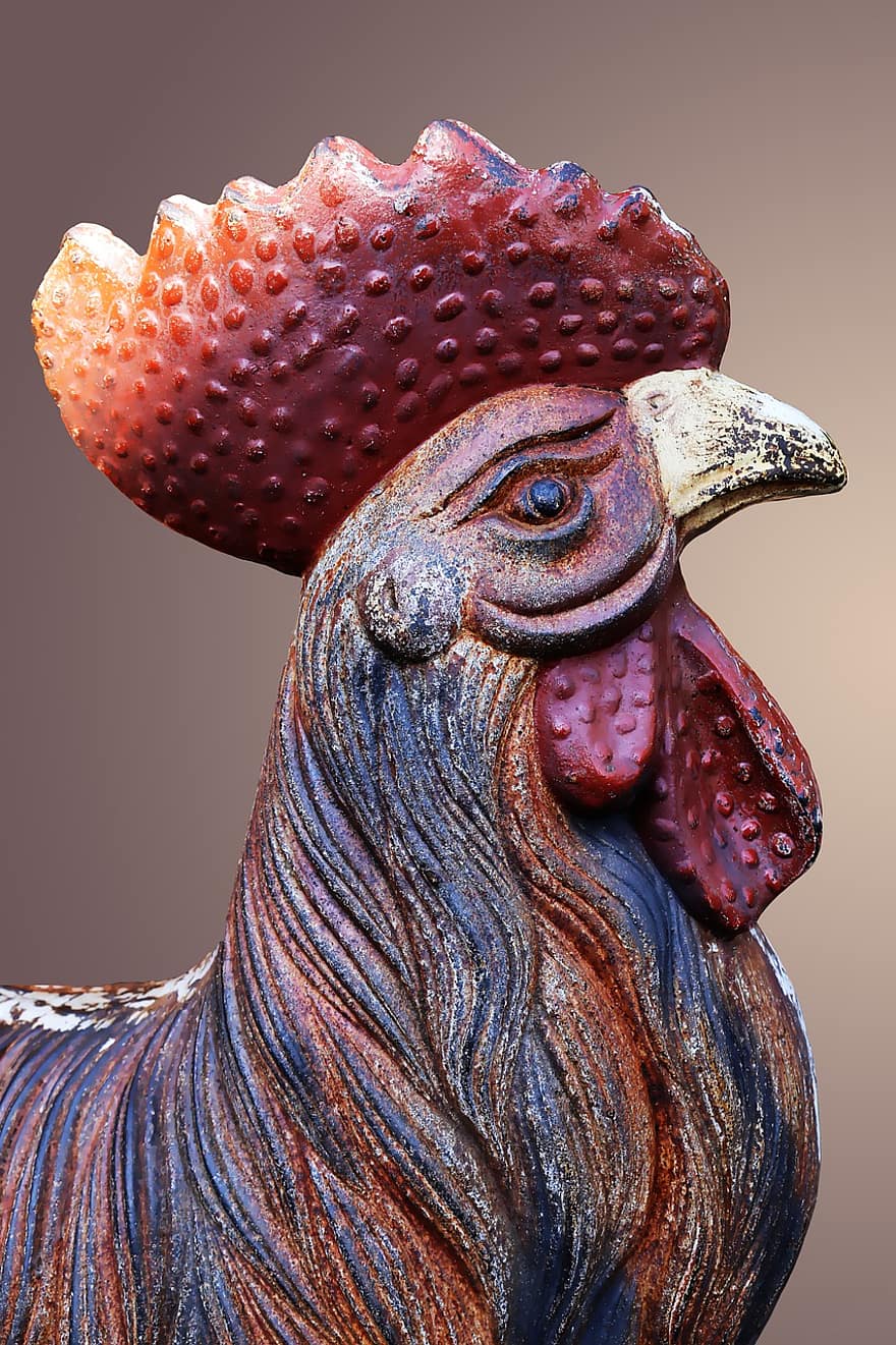 gallo, decoración, Art º, obra de arte, de cerca, pollo, pájaro, gallo joven, pluma, ganado, pico