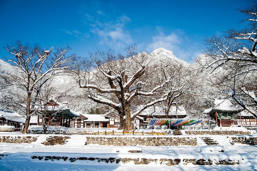 korea, templom, téli, hó, fák, hegyek, hideg, dér, hóval borított, havas, télies