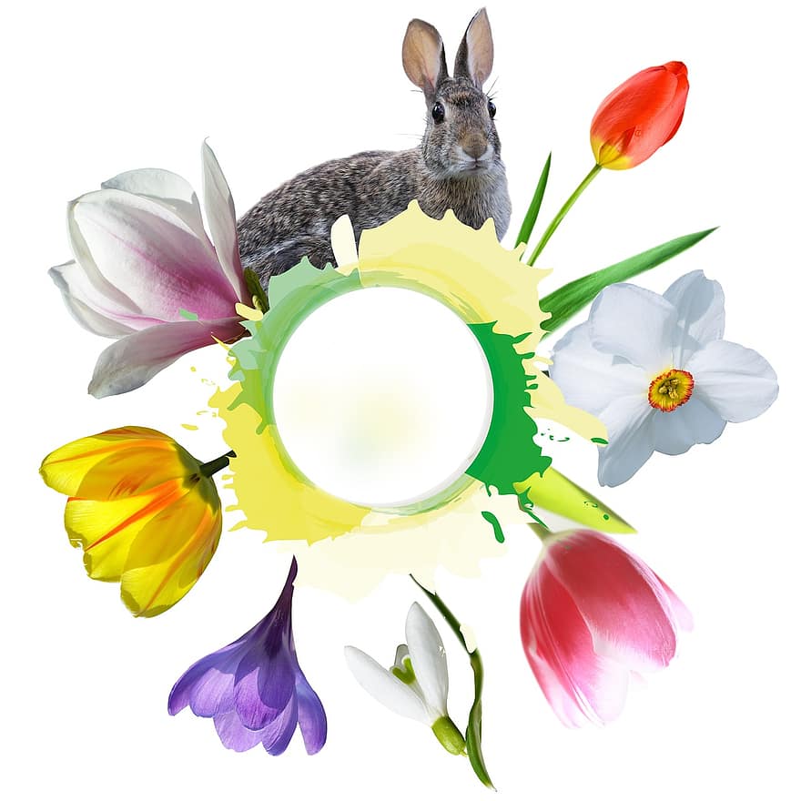 Великденски заек, пружина, frühlingsanfang, пролетно пробуждане, Великден, цвете, лале, минзухар, магнолия, нарцис, снежинка