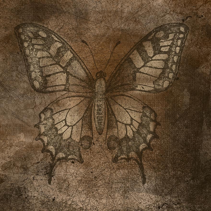 Background, Vintage, Grunge, Scratches, Old, Texture, Brown, Butterfly, Structure, Paper