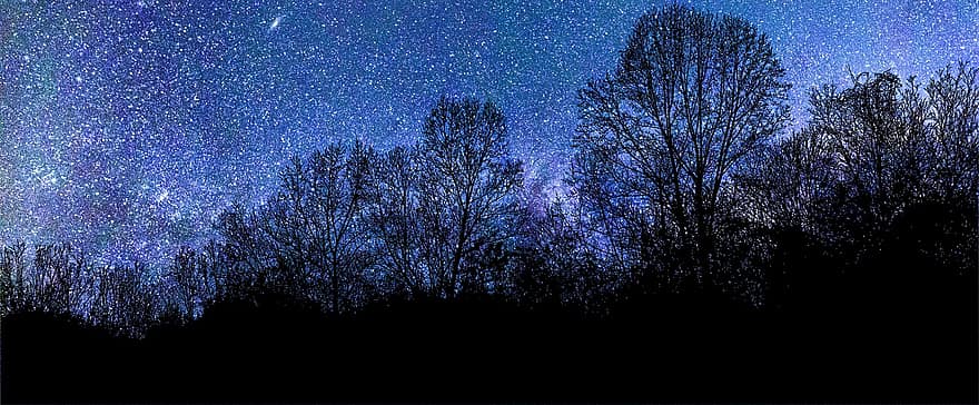 naktis, žvaigždės, dangus, medžiai, siluetas, pobūdį, visatos, erdvė, giraitė, galaktika, atmosfera