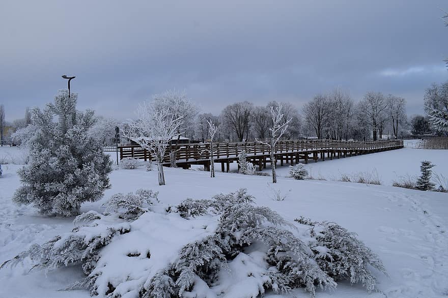 Footbridge, Snow, Frost, Nature, City, Walk, Winter