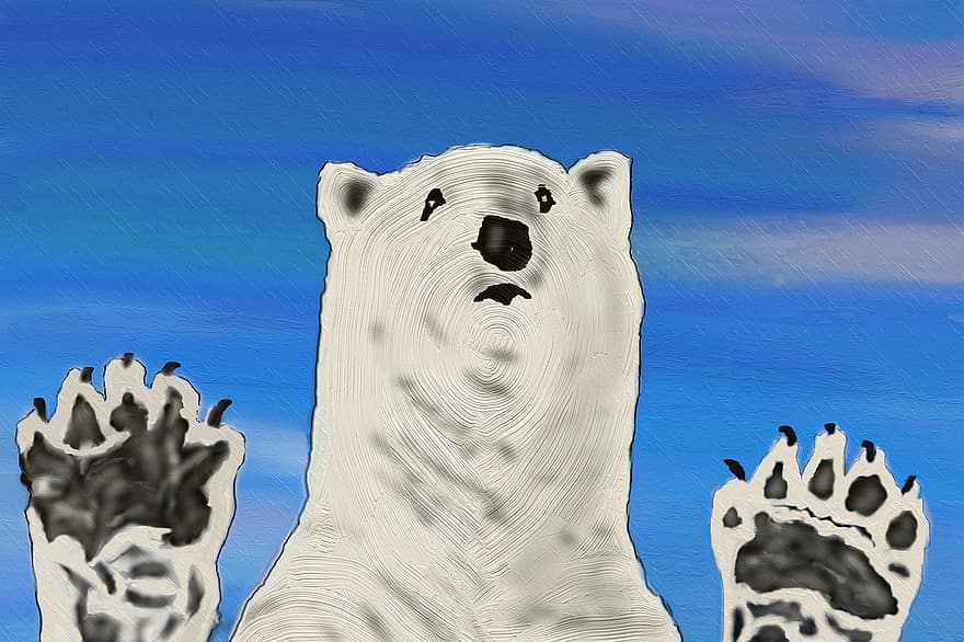 ours polaire, zoo, prédateur, fourrure blanche, animal, ours blanc, pôle Nord, zoo d'aventure, fourrure