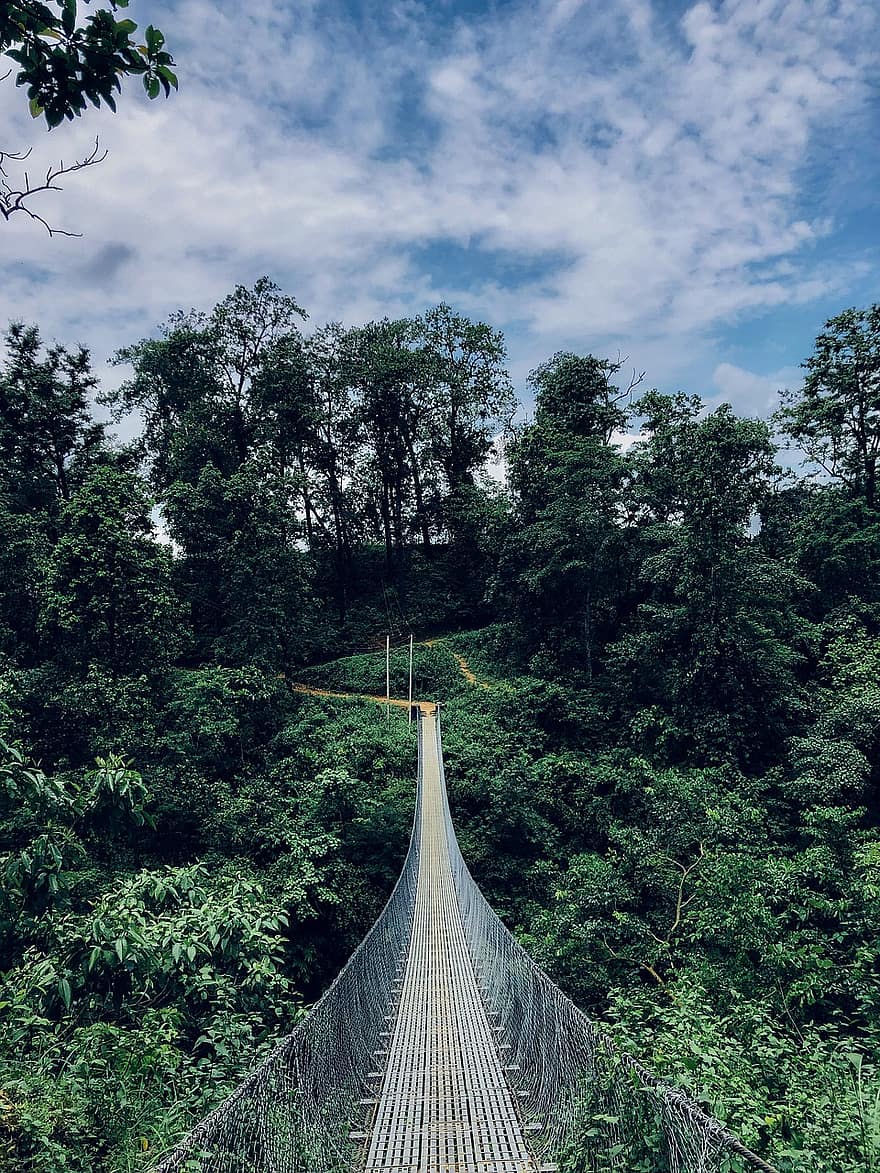 závěsný most, les, Příroda, hora, strom, lano, dobrodružství, krajina, zelená barva, most, cestovat