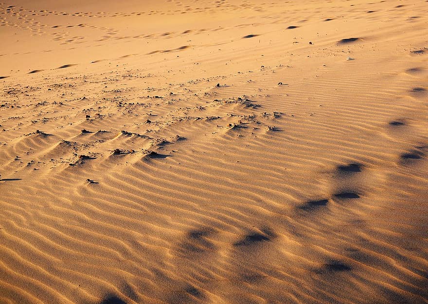 sivatag, homok, természet, szabadban, homokdűne, háttérrel, tájkép, minta, száraz, száraz éghajlat, hőség