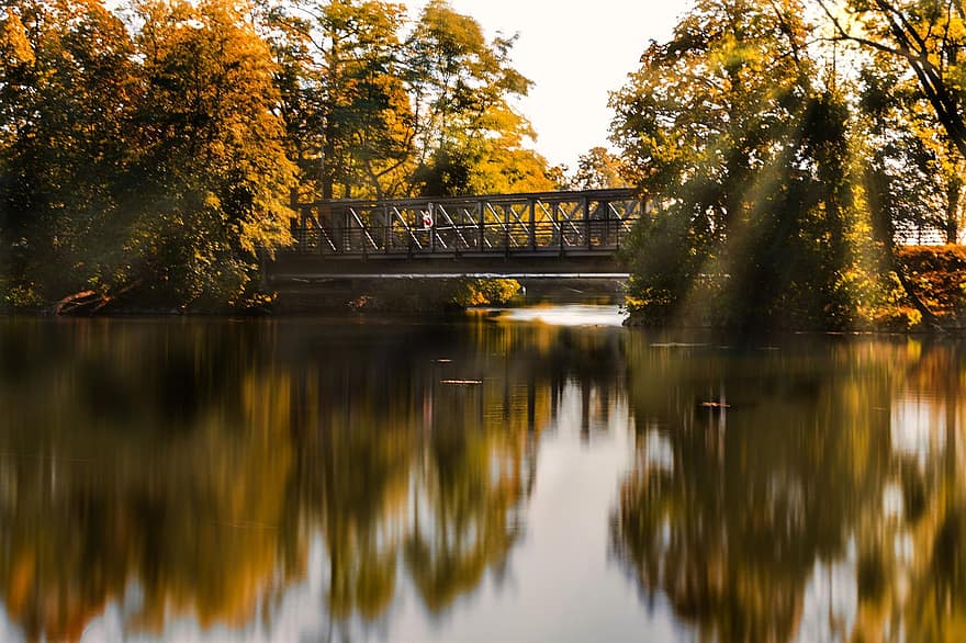 ponte, fiume, alberi, boschi, fogliame, foglie d'autunno, fogliame autunnale, colori autunnali, stagione autunnale, foresta