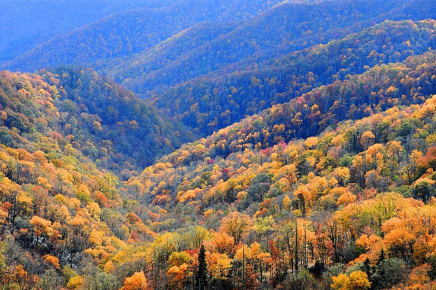 musim gugur, gunung, hutan, pohon, pegunungan, dedaunan, dedaunan musim gugur, warna musim gugur, jatuh dedaunan, daun jatuh, alam