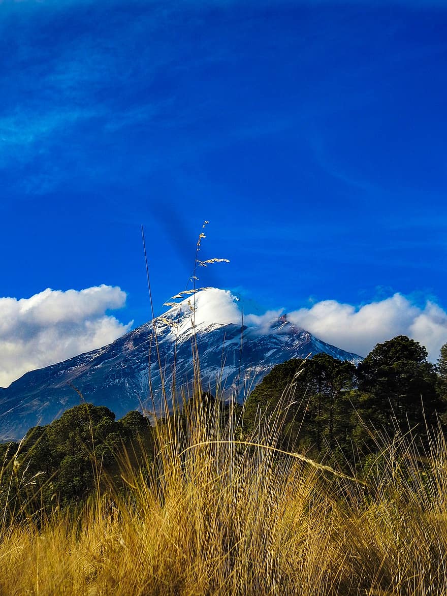 orizaba, kalnai, miškas, medžiai, žolė, piko, aukščiausiojo lygio susitikime, dangus, debesys, vulkanas, kraštovaizdį