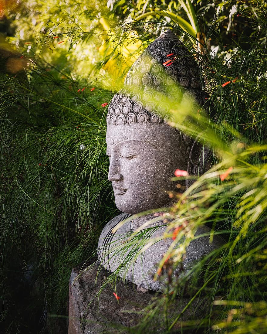 Statua Buddy, ogród, religia, Tajlandia, buddyzm, duchowość, statua, kultury, medytować, rdzenna kultura, Pan Bóg