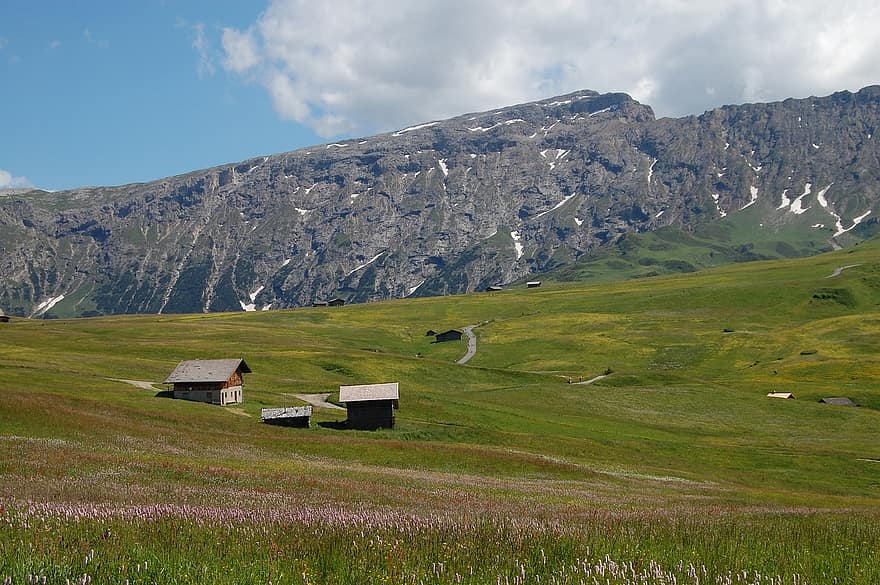 les montagnes, Alpes, cabane, Italie, alpe di siusi, la nature