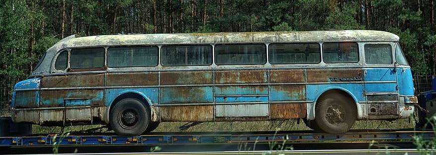 senas autobusas, Surūdijęs autobusas, transporto priemonė, senas automobilis