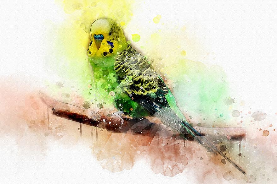 Watercolor, Art, Painting, Bird