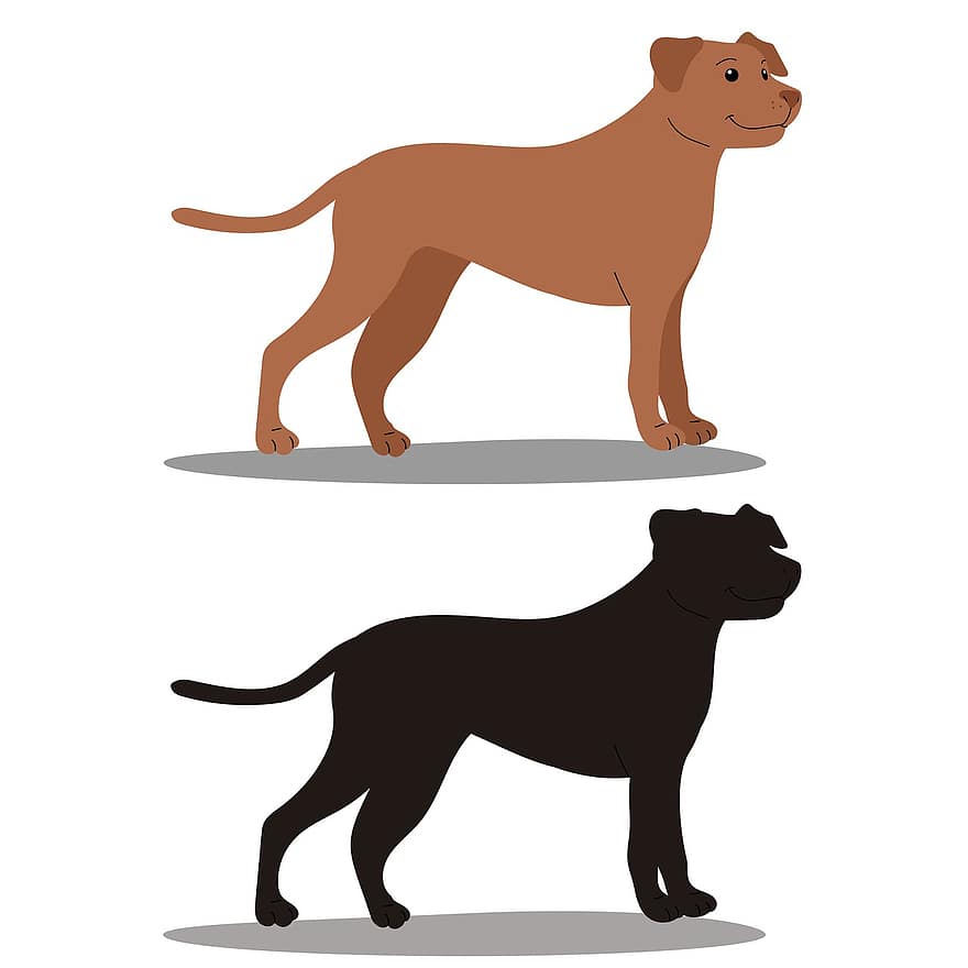 câine, câine silueta, animal de companie, animal, canin