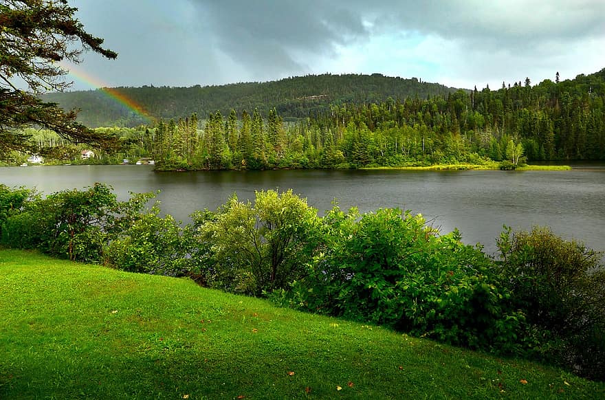 paisaje, lago, naturaleza, arboles, ambiente, arco iris, conífero, vegetación, montaña, césped, hierba