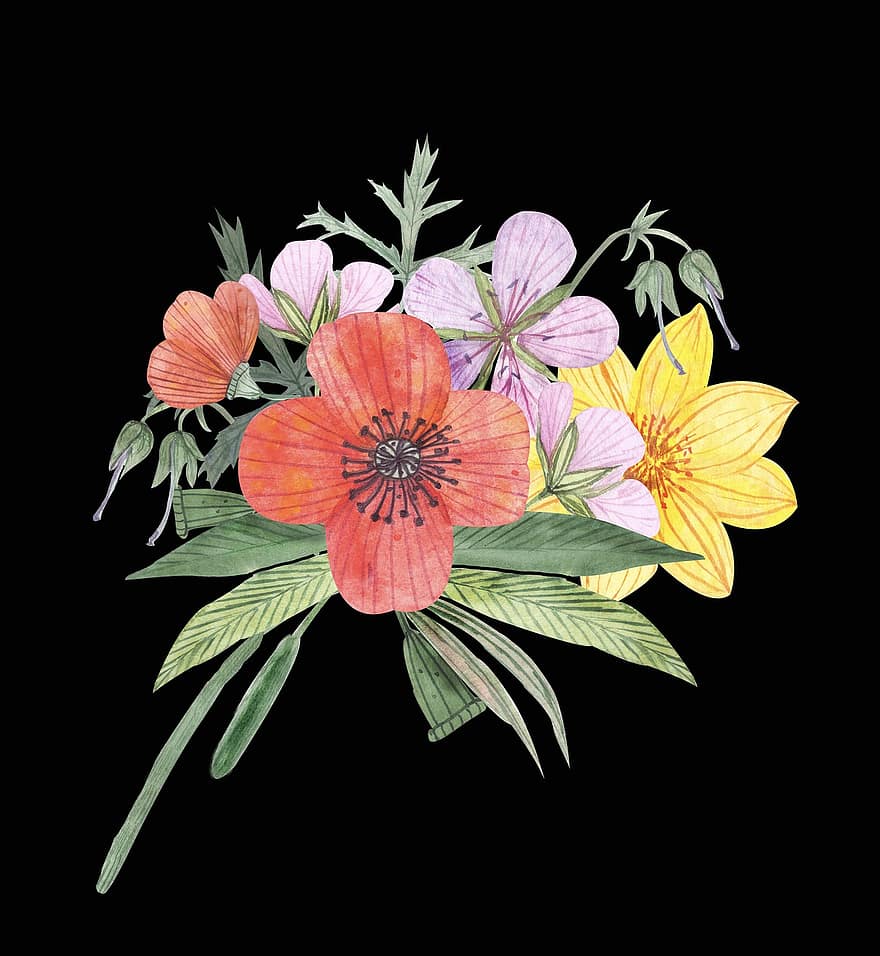 květiny, květinový, vodové barvy, kvetoucí rostliny, flóra, květ, barevné květy