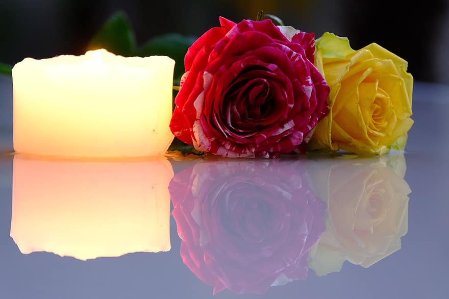 розы, свеча, отражение, цветы, пара, лепестки, лепестки роз, цветение, цвести, роза цветет, candelight