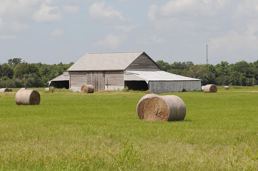 Barn, Farm, Hay, Field