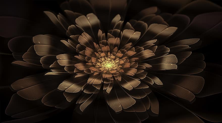 fractal, bloem, bloemen, bloeien, bruin, beige, bloemblaadjes, ontwerp, fractal kunst, zwarte kunst