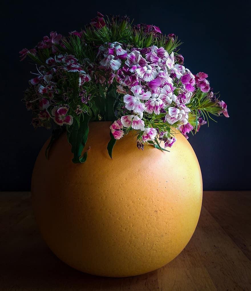 flor, vaso, decoração