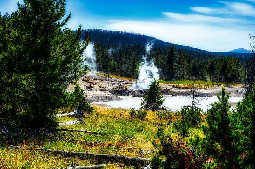 Dampf, Wald, Natur, Thermal-, Yellowstone, Bäume, Landschaft, Wasser, Baum, Berg, grüne Farbe