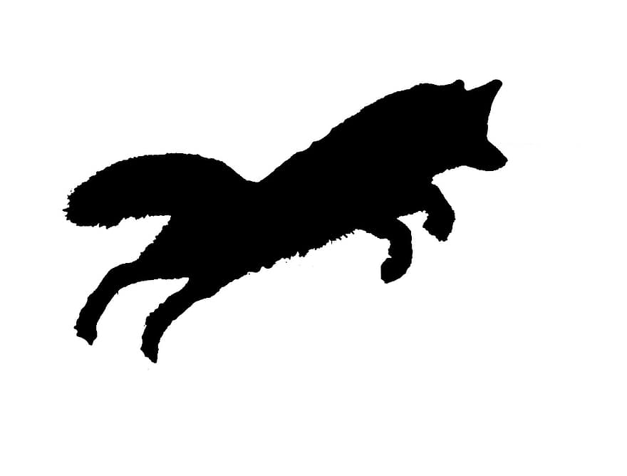 silhouet, vos, springen, dier, dieren in het wild, clip art