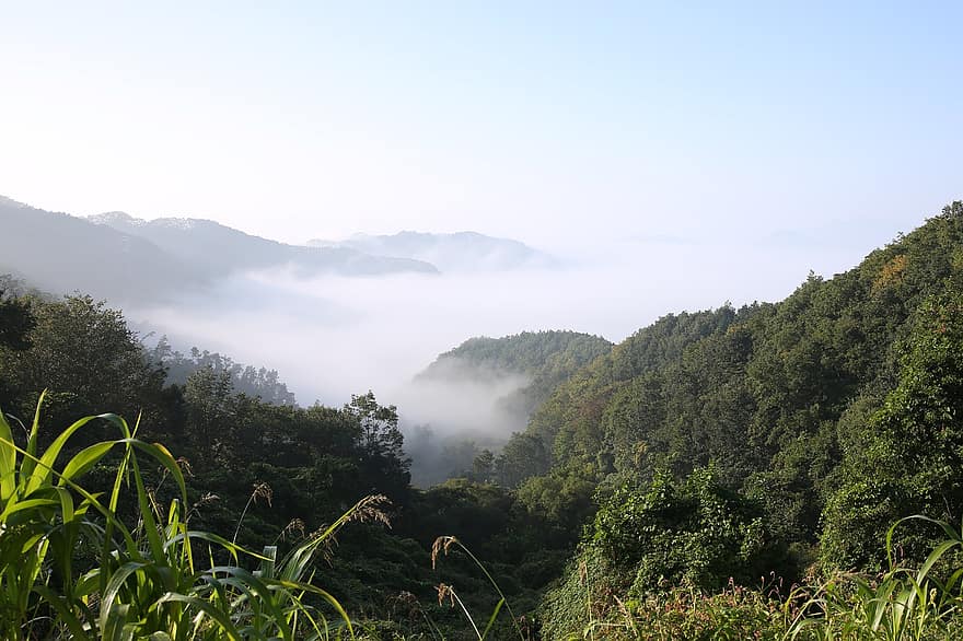 βουνά, δάσος, φύση, ομίχλη, σύννεφα, πρωί, τοπίο, βουνό, δέντρο, καλοκαίρι, αγροτική σκηνή