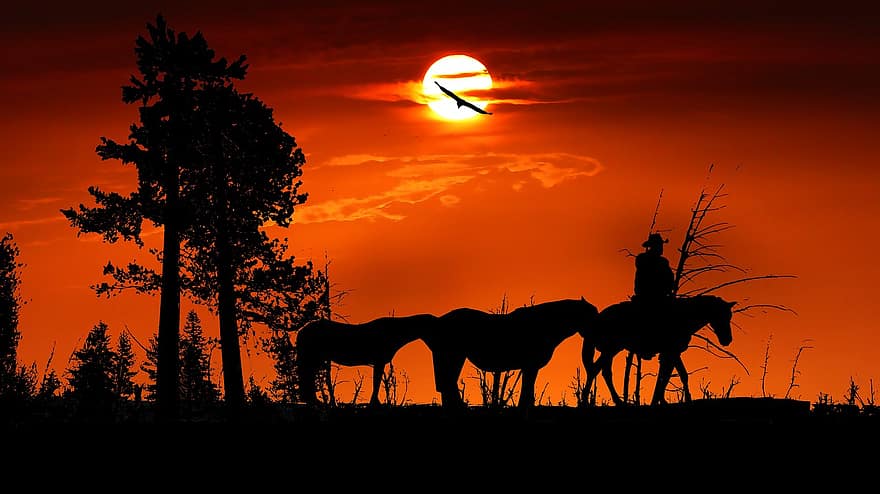 zonsondergang, Bos, trui, paarden, landschap, natuur, bomen, hout, avond