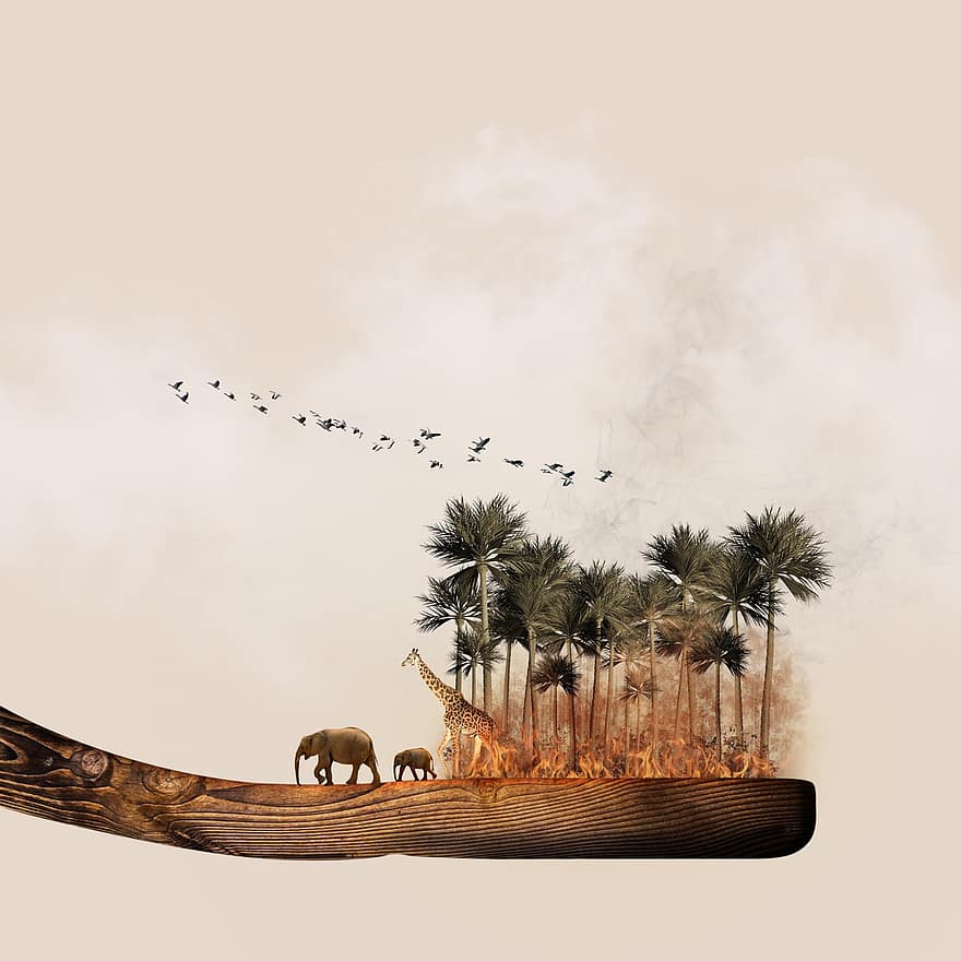 Afrika, aplinką, prekės ženklas, Ugnis, žemė, pobūdį, gamtos apsauga, ekologinis, dramblys, žirafa, ekologija