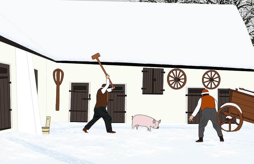 свиня, зима, село, сніг, м'ясник, фермерський будинок