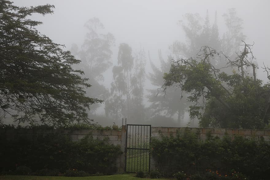 natureza, névoa, ao ar livre, portão
