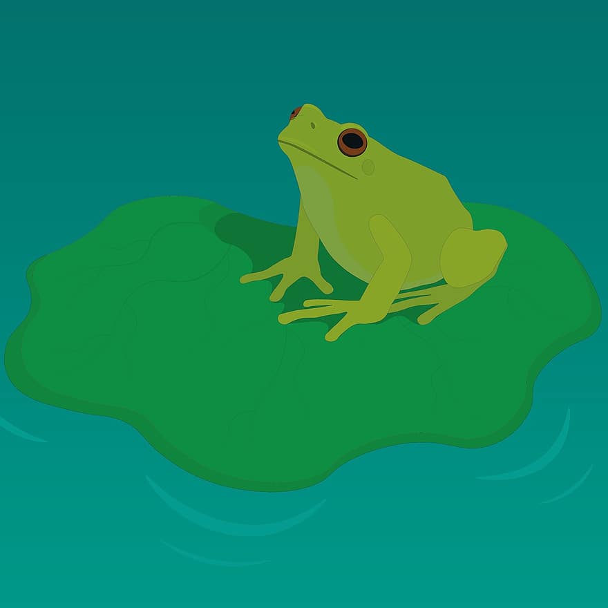 Animal, Frog, Wildlife, Amphibian, Nature, Water Lily, Leaf, Water, Pond, Drawing